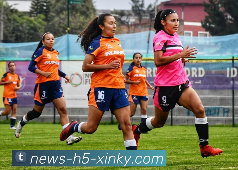 开元棋牌平台生态图