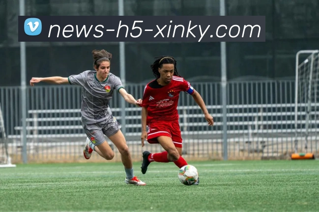 开元棋牌APP 封面图